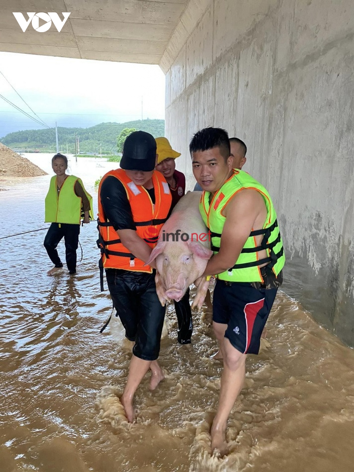 dong nguoi xep hang mua banh trung thu truyen thong tren pho thuy khue, ha noi hinh anh 4