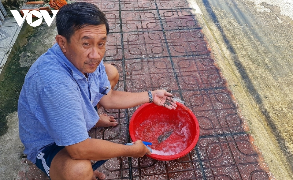 Vụ nước đục ngầu tại khu đô thị Cà Mau: Nguồn nước không sạch?