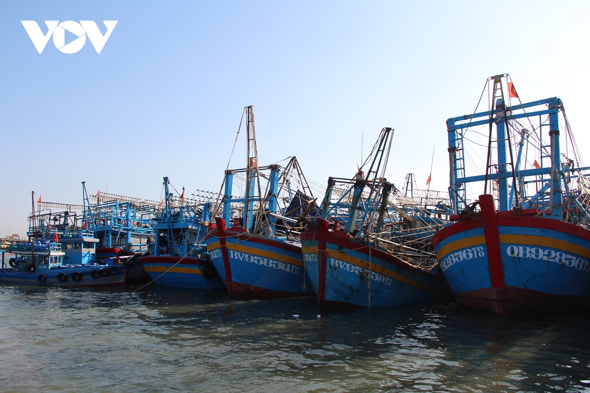 khong du dau ra khoi, nhieu tau ca o ba ria- vung tau phai nam bo hinh anh 2