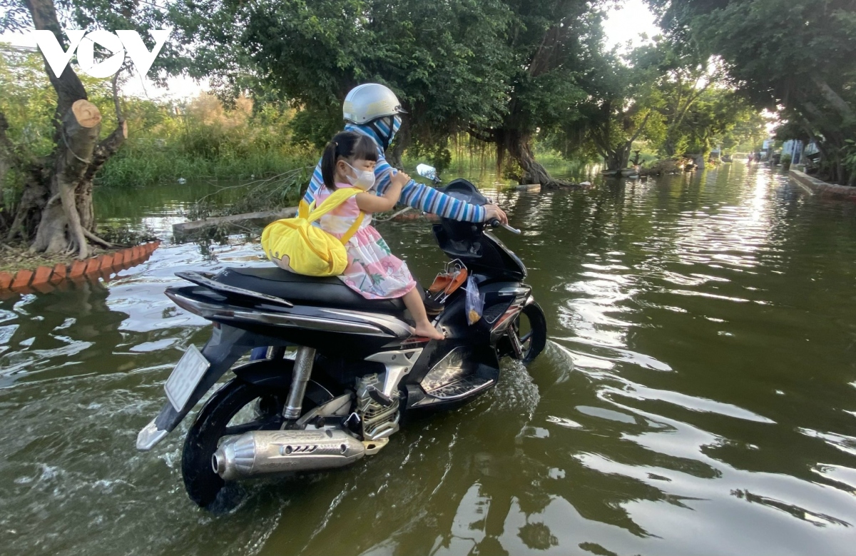 hon 1.500 ho dan van bi co lap vi ngap o ba ria vung tau hinh anh 10