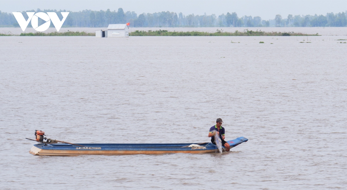 an giang quyet liet dau tranh voi cac loai toi pham buon lau tuyen bien gioi hinh anh 3