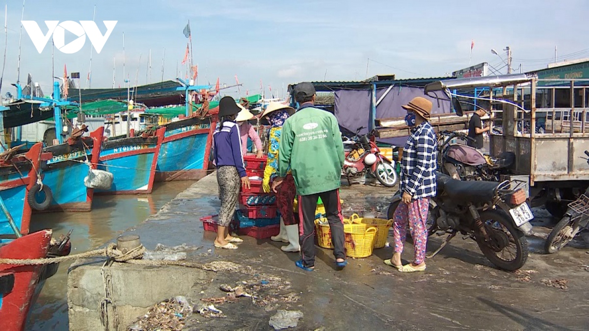 cang ca ninh thuan xuong cap nghiem trong hinh anh 1