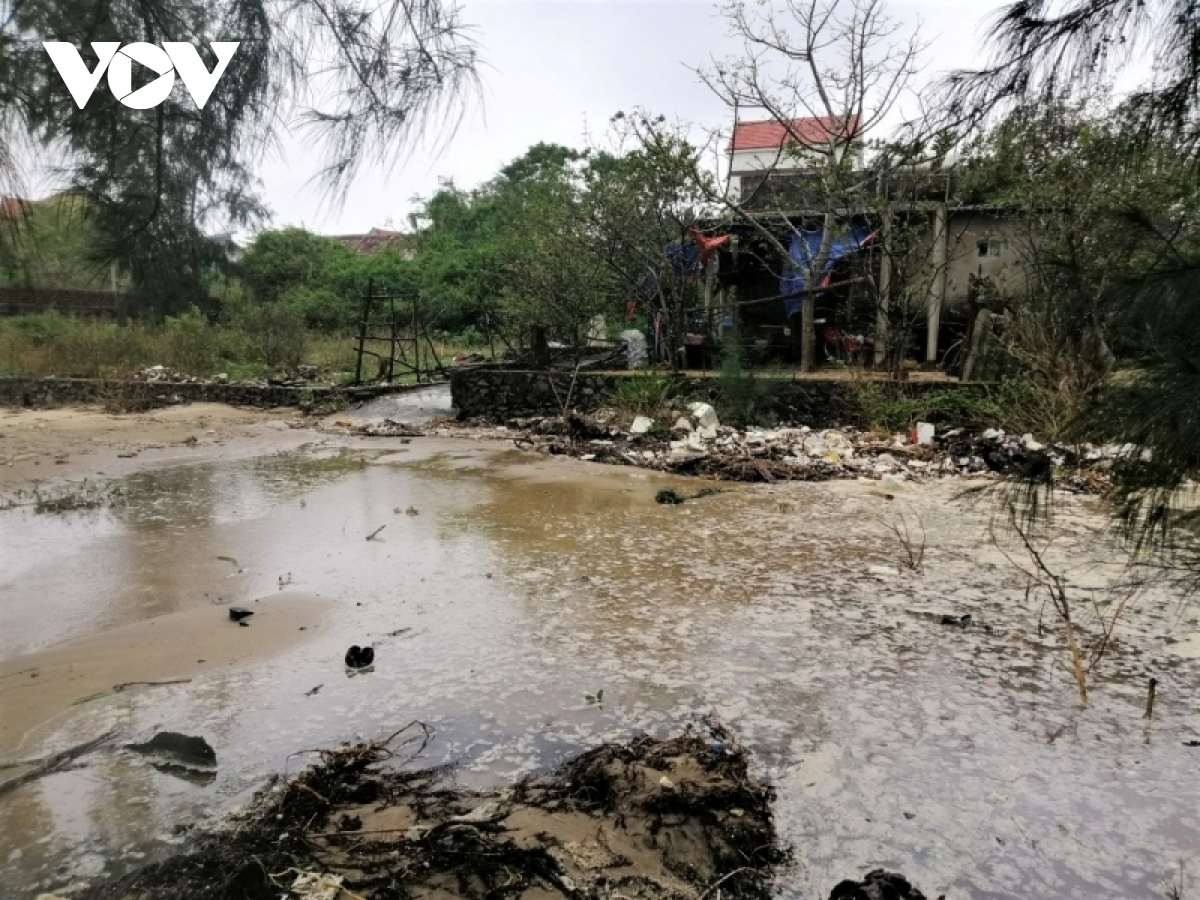 nhieu bo bien o quang binh sat lo nang hinh anh 2