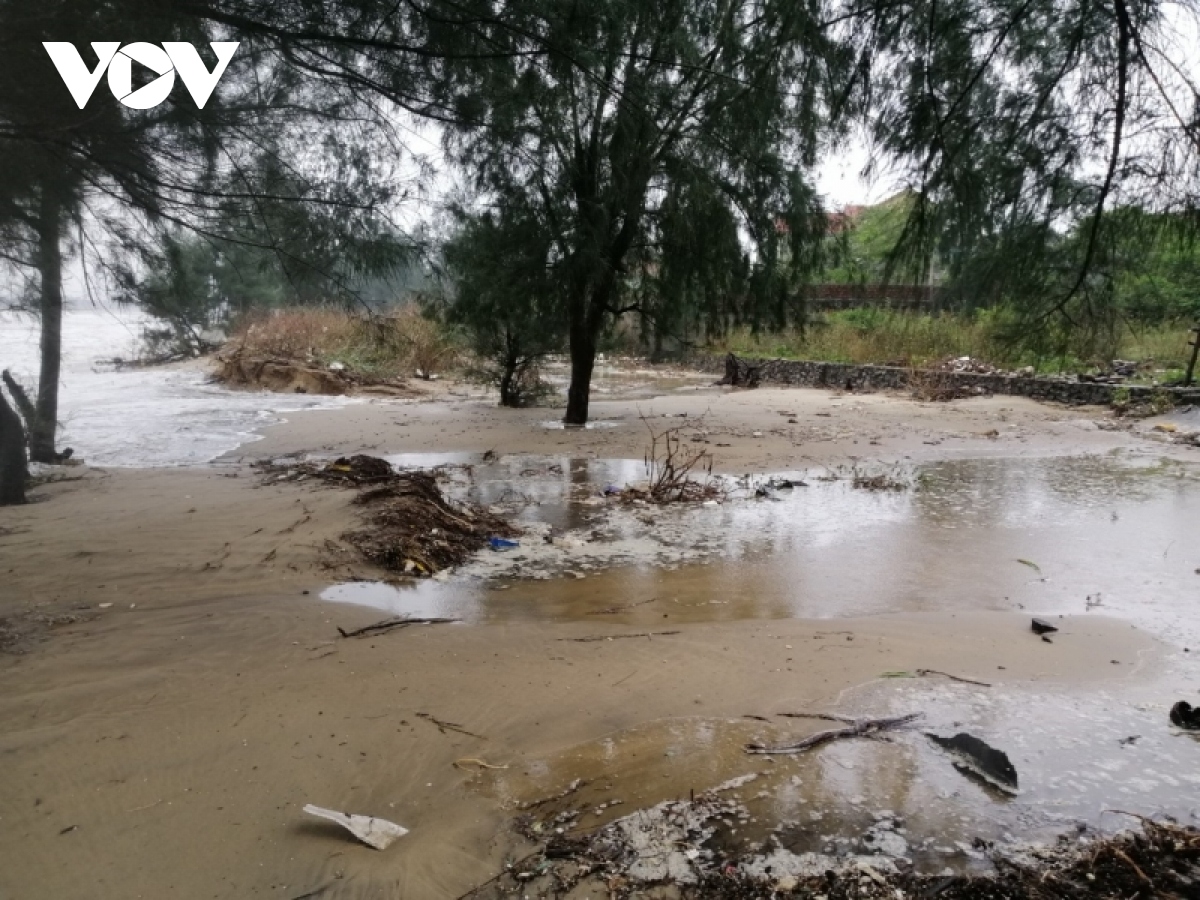 nhieu bo bien o quang binh sat lo nang hinh anh 8