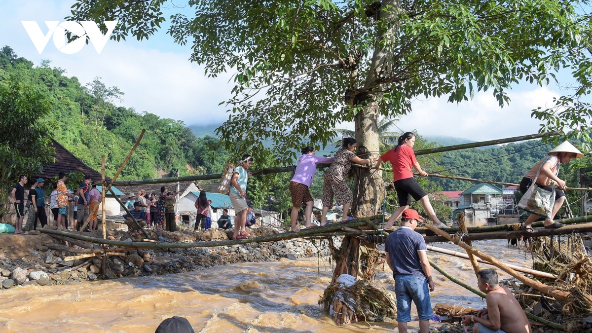 chenh venh nhung cay cau khi noi tam lu ky son, nghe an hinh anh 13