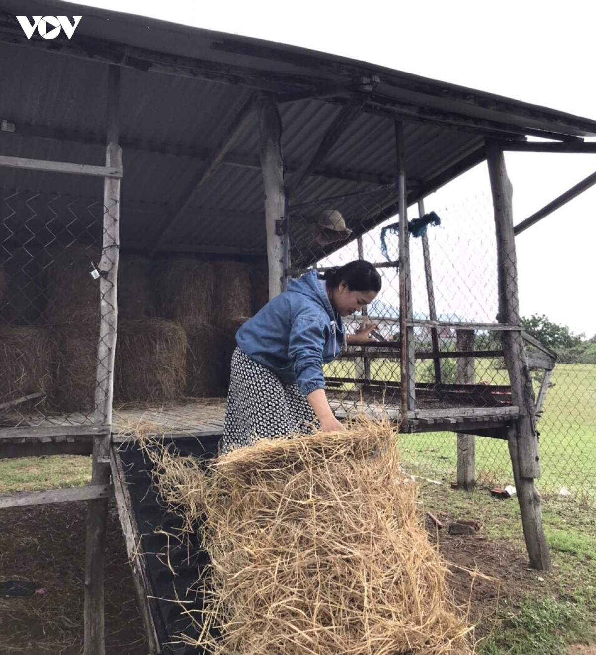 nguoi phu nu cham kiem hon nua ty moi nam tu nang, gio ninh thuan hinh anh 3