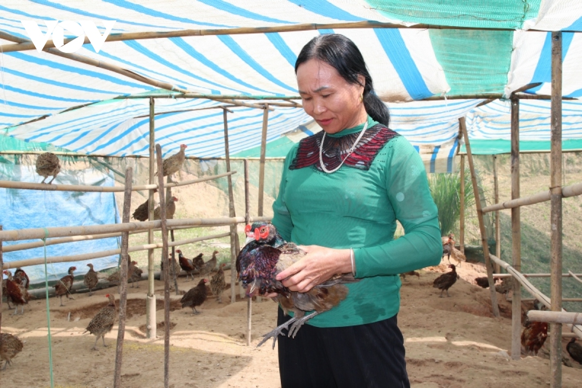 phu nu yen bai lam giau tren manh dat que huong hinh anh 3