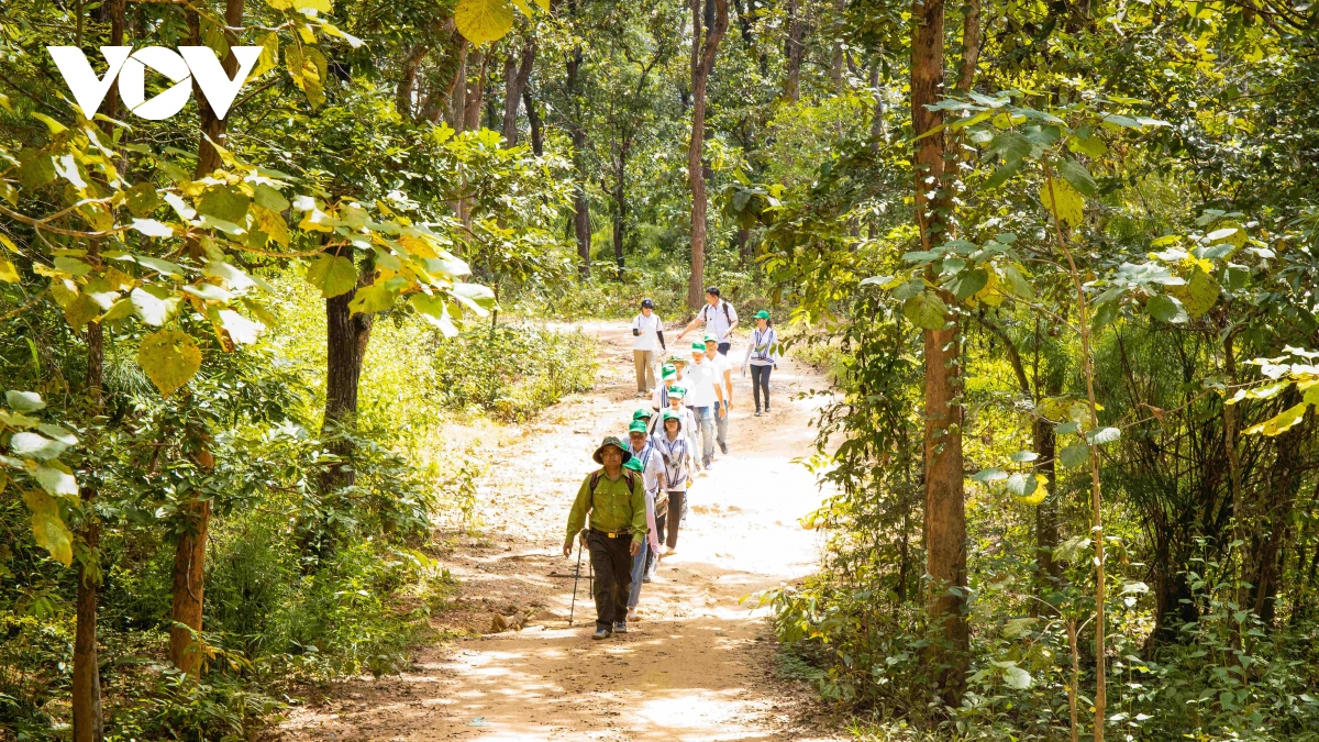 chung tay trong cay phu xanh rung dau nguon hinh anh 4