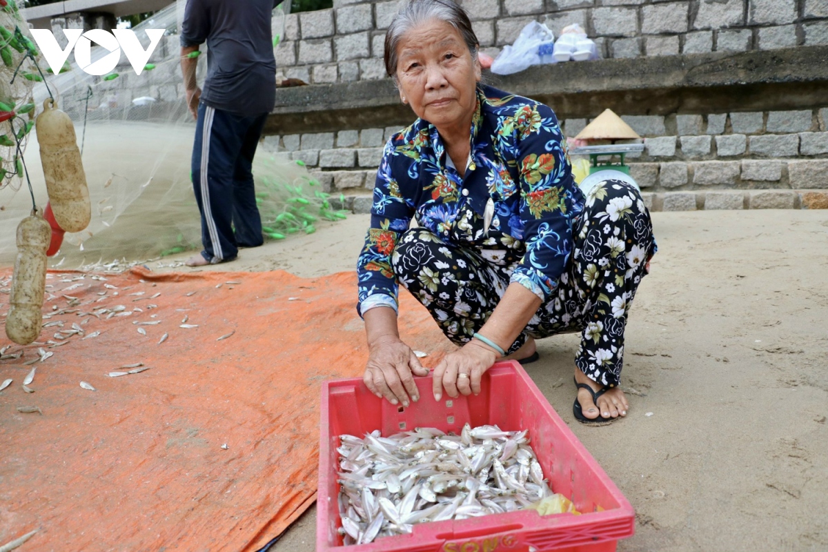 ngu dan vung tau trung mua ca mai hinh anh 10