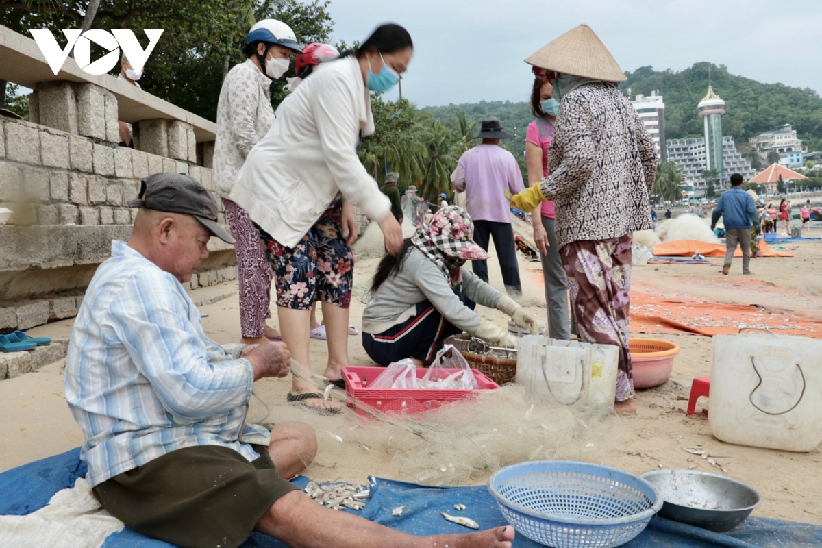 ngu dan vung tau trung mua ca mai hinh anh 5