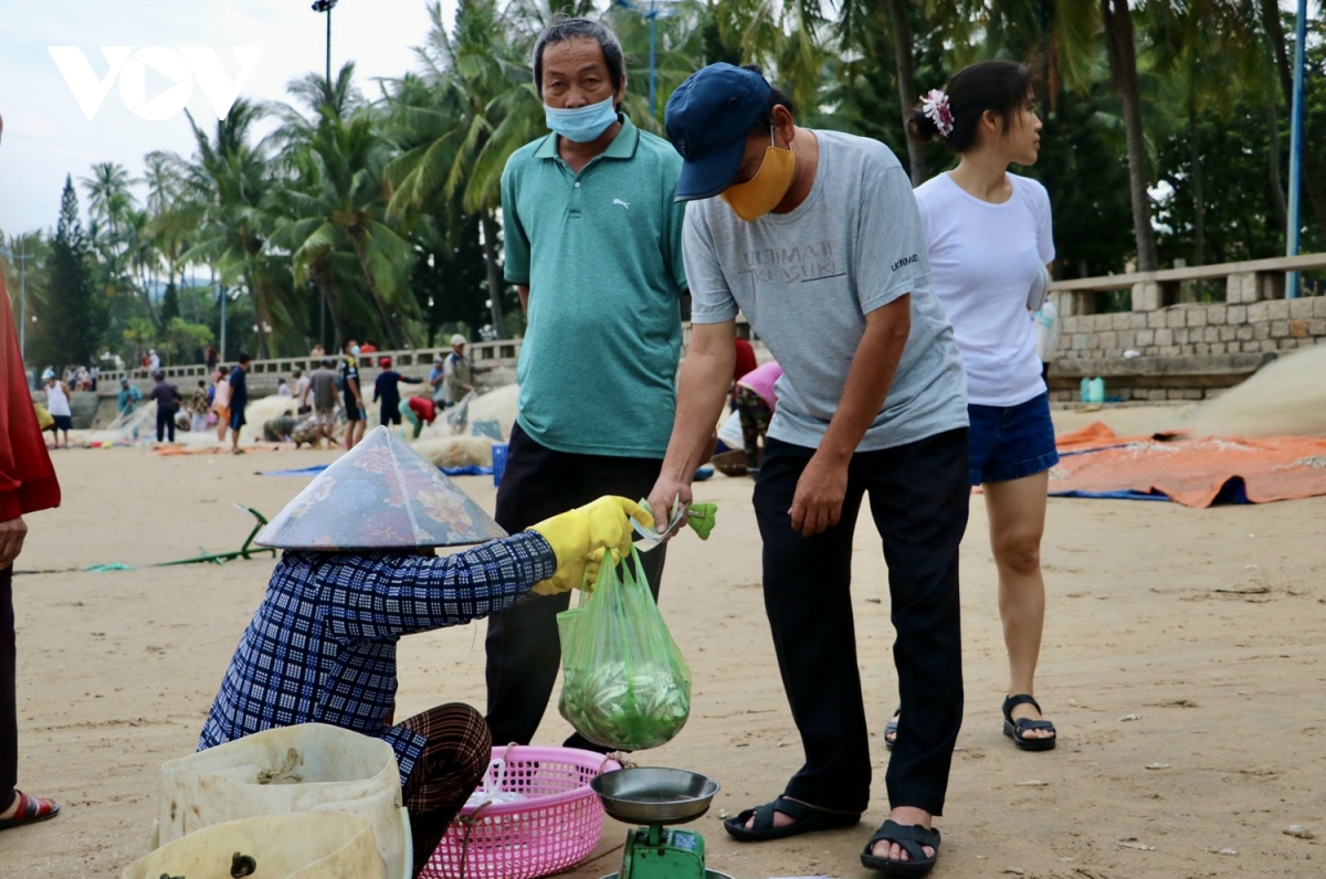 ngu dan vung tau trung mua ca mai hinh anh 7