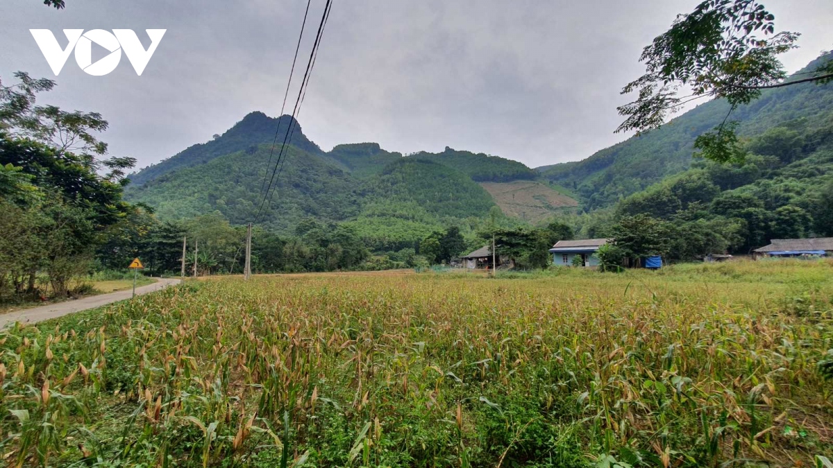 phia sau tinh trang nong vi pham dat dai tai quang chu, bac kan hinh anh 5