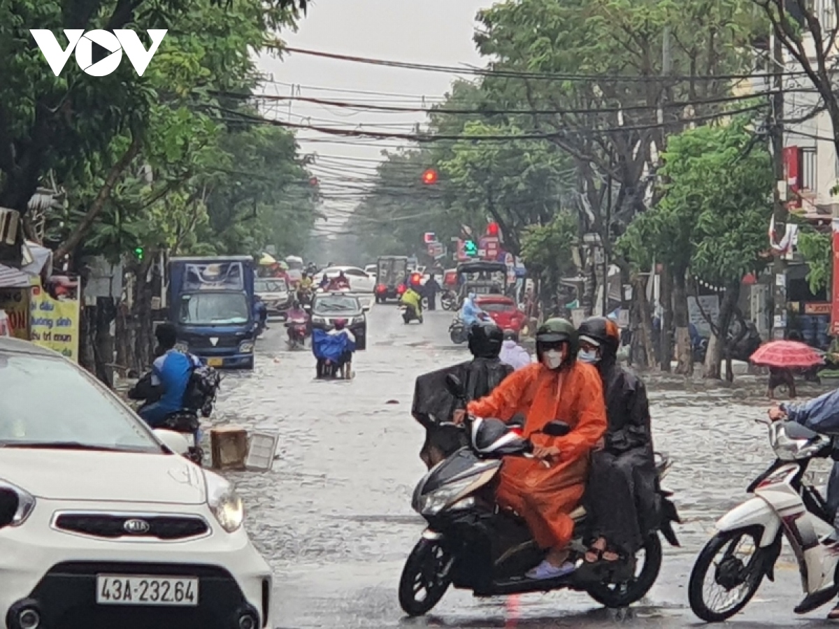 mua to, Da nang ban hanh cong dien ung pho hinh anh 8