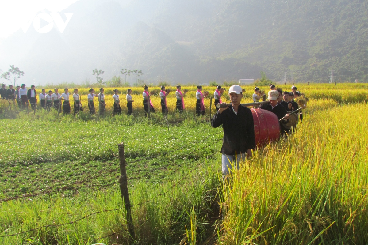 Dac sac le hoi kin lau khau mau cua dong bao thai trang phong tho hinh anh 2 Dac sac le hoi kin lau khau mau cua dong bao thai trang phong tho hinh anh 2