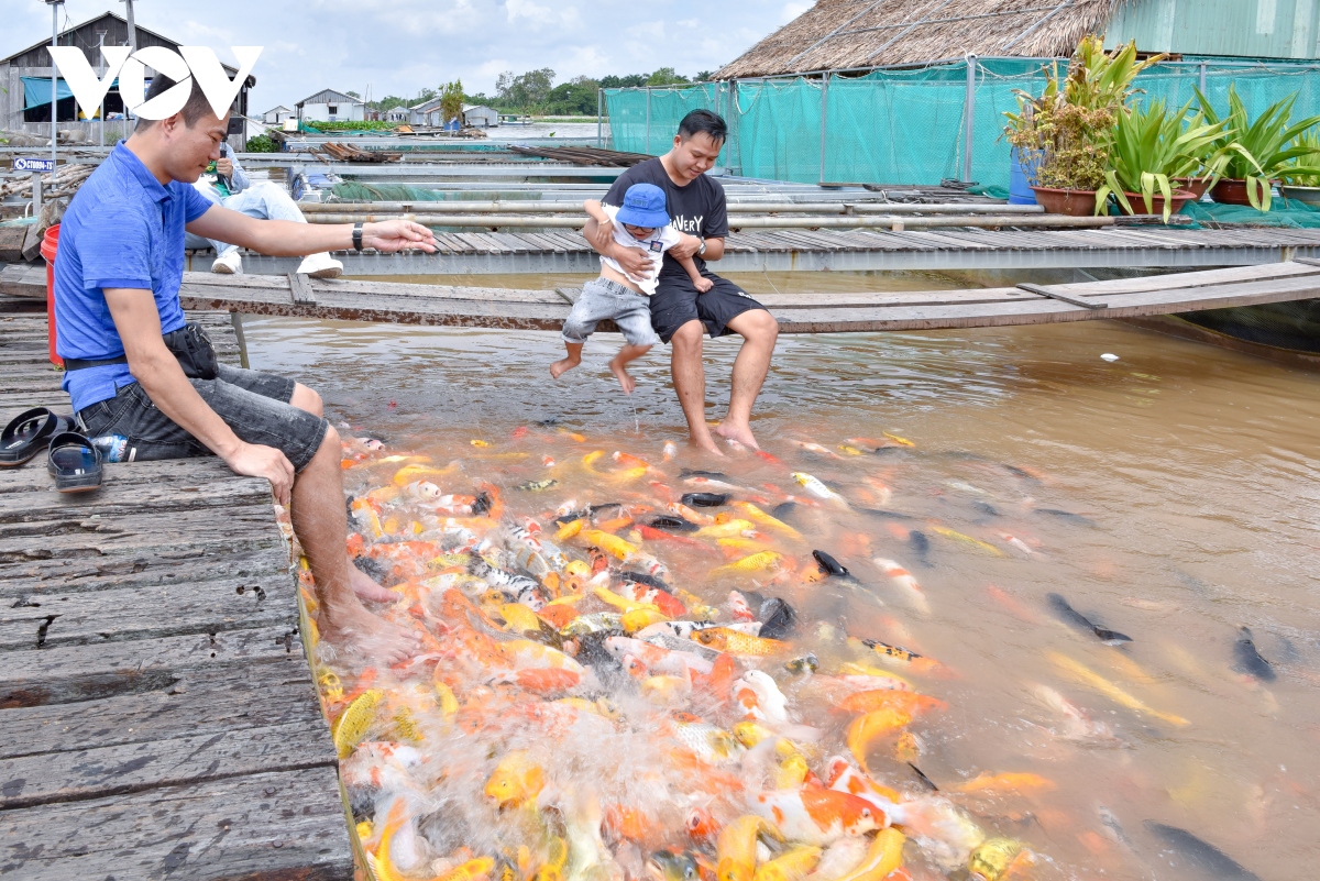 du lich nong nghiep, vi sao chua phat trien manh hinh anh 3