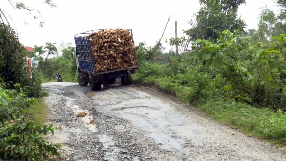 nham nho cac tuyen duong tai mien nui quang nam sau thien tai hinh anh 3