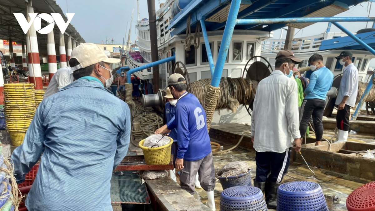 san sang de go the vang cua ec tai ba ria-vung tau hinh anh 1