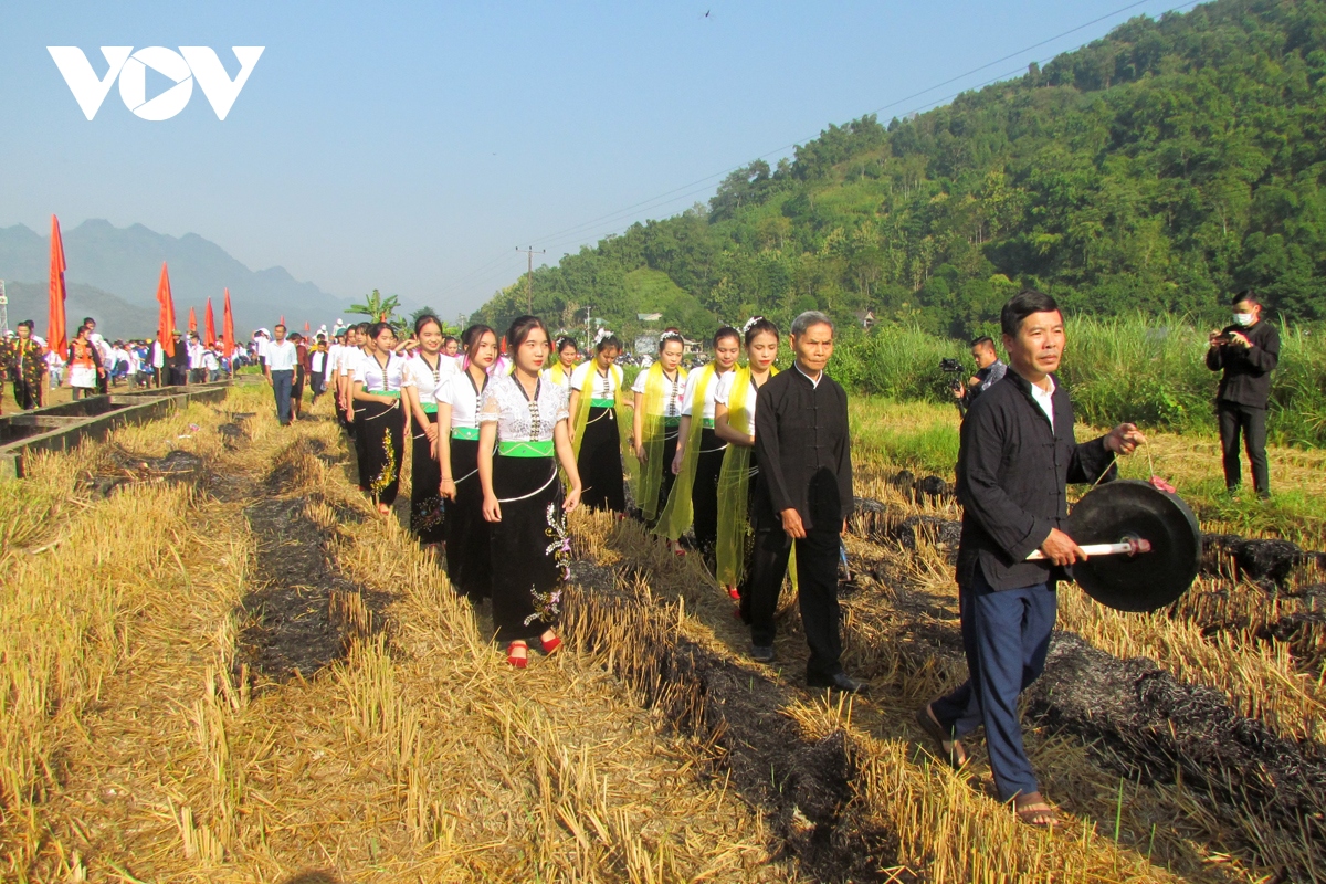 Dac sac le hoi kin lau khau mau cua dong bao thai trang phong tho hinh anh 1 Dac sac le hoi kin lau khau mau cua dong bao thai trang phong tho hinh anh 1
