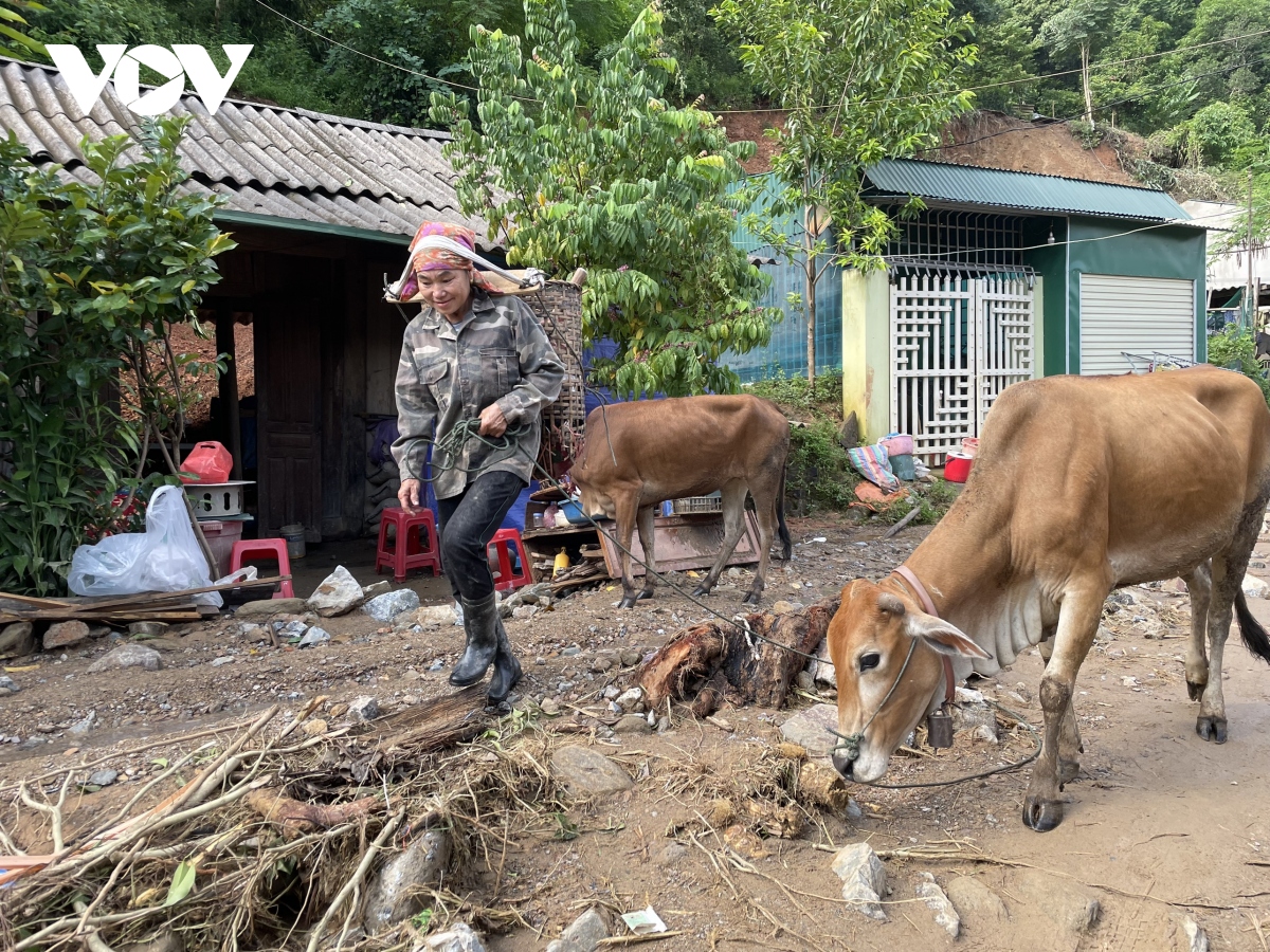 nghia tinh giup ca lang thoat doi ret trong con lu quet, lu ong o ky son hinh anh 4