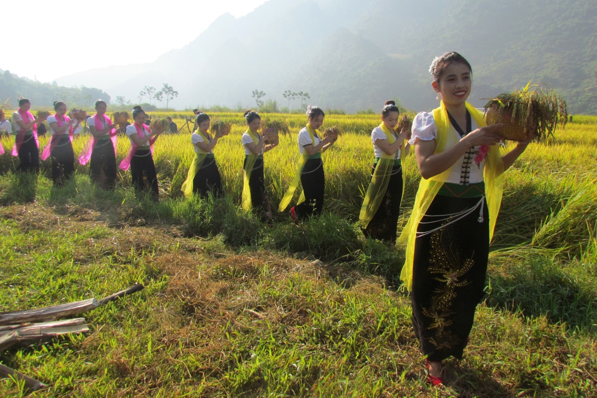 Dac sac le hoi kin lau khau mau cua dong bao thai trang phong tho hinh anh 3 Dac sac le hoi kin lau khau mau cua dong bao thai trang phong tho hinh anh 3