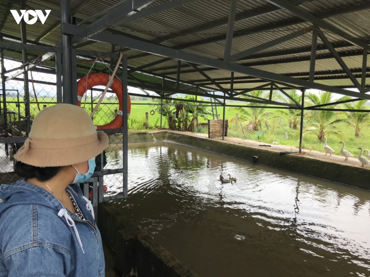 nguoi phu nu cham kiem hon nua ty moi nam tu nang, gio ninh thuan hinh anh 4