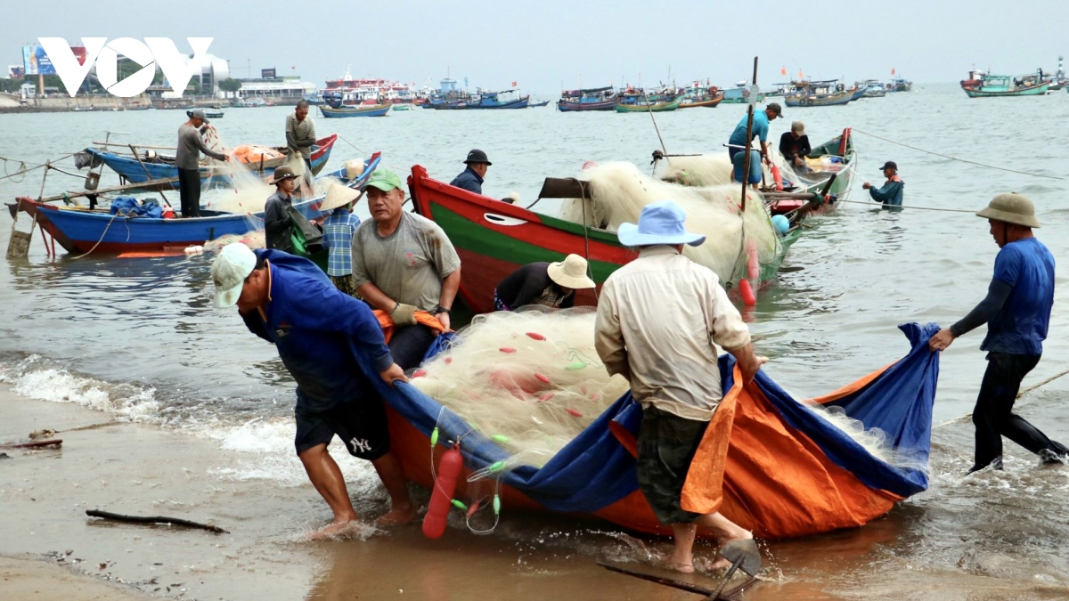 Ngư dân Vũng Tàu trúng mùa cá mai