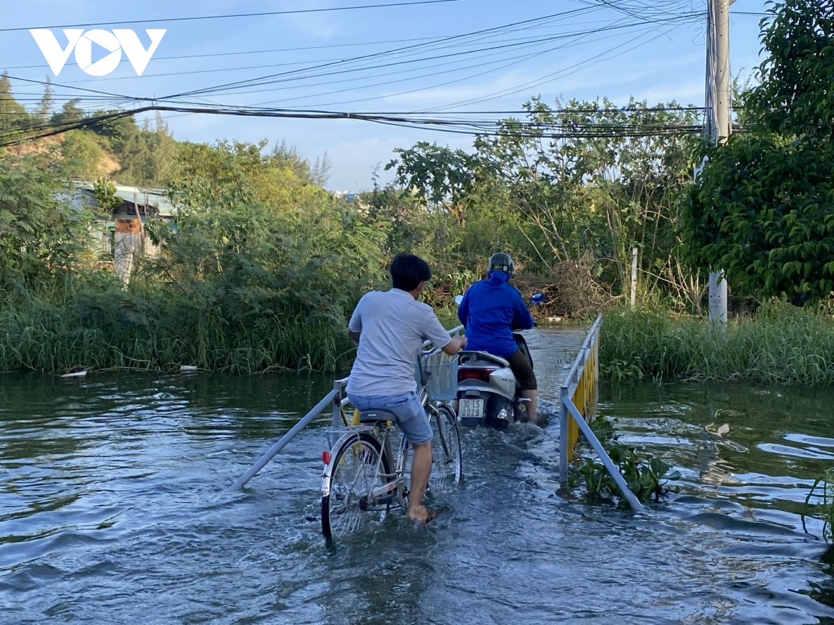 hon 1.500 ho dan van bi co lap vi ngap o ba ria vung tau hinh anh 3