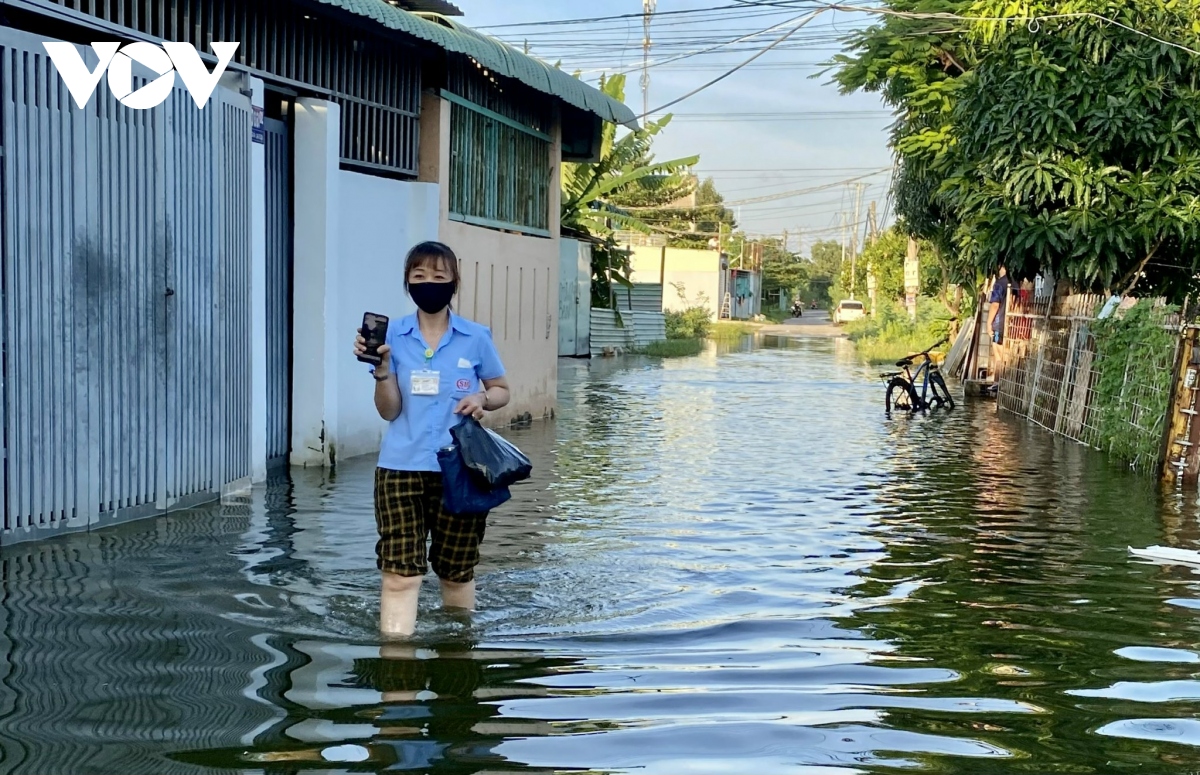 hon 1.500 ho dan van bi co lap vi ngap o ba ria vung tau hinh anh 7