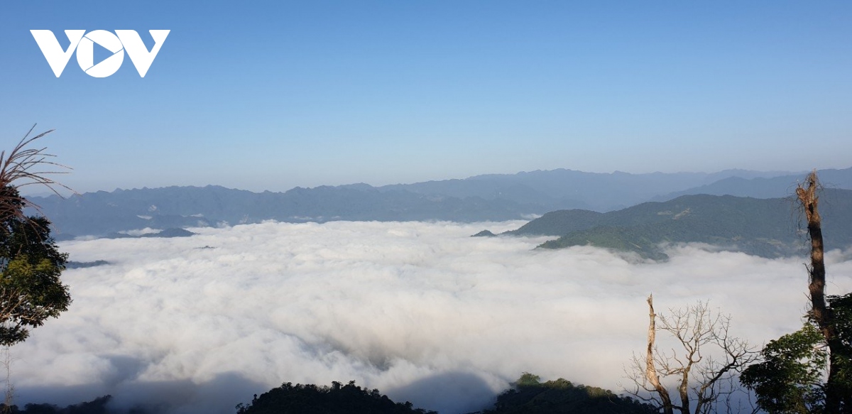 bac kan lan dau tien to chuc le hoi sac thu ho ba be hinh anh 5