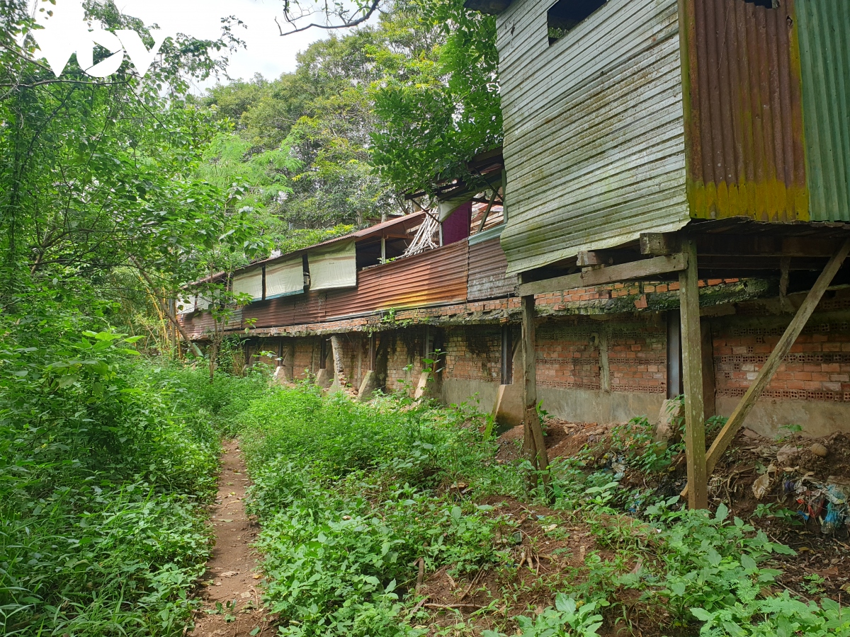 thac nha Den - thang canh ngu quen giua long thu phu ca phe buon ma thuot hinh anh 10