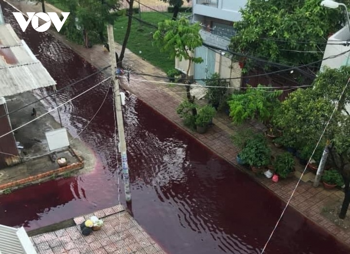 TP.HCM chưa xác định nguyên nhân dòng nước màu đỏ ngập 2 tuyến đường