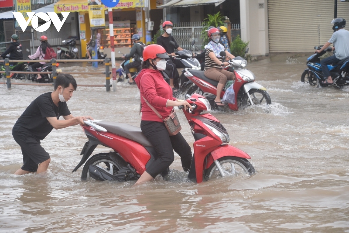 nguoi dan can tho chat vat dua con den truong ngay trieu cuong vuot bao dong iii hinh anh 5