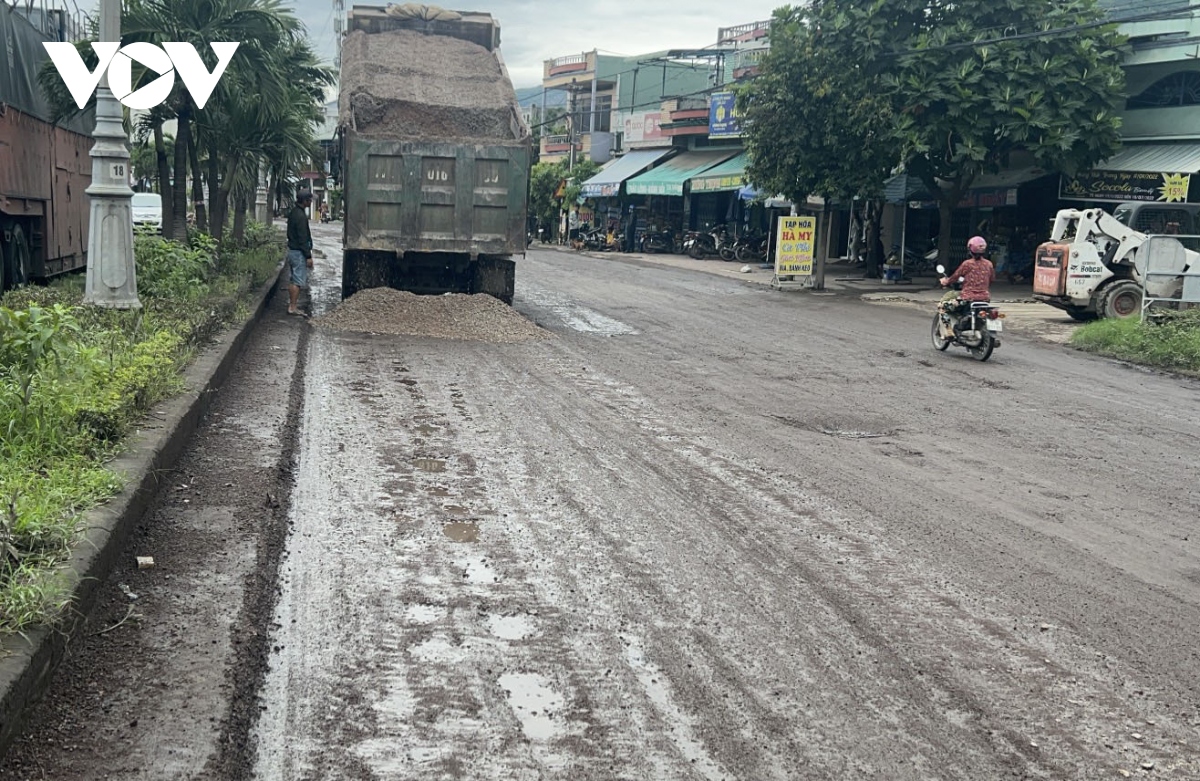 ngon ngang dat da tren quoc lo 1a qua tinh binh Dinh hinh anh 3