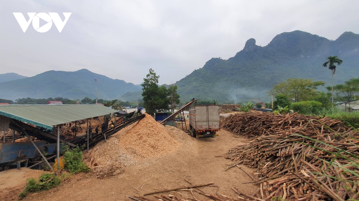 phia sau tinh trang nong vi pham dat dai tai quang chu, bac kan hinh anh 4