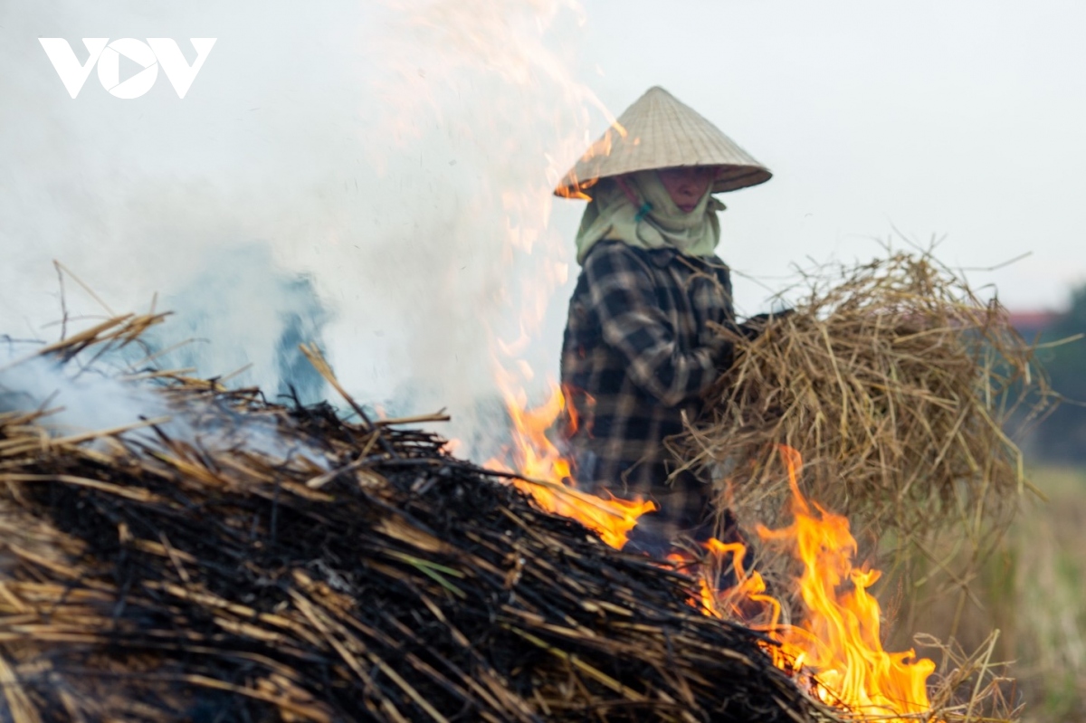 nong dan ngoai thanh ha noi dot rom ra, khoi mu mit bua vay nguoi di duong hinh anh 15