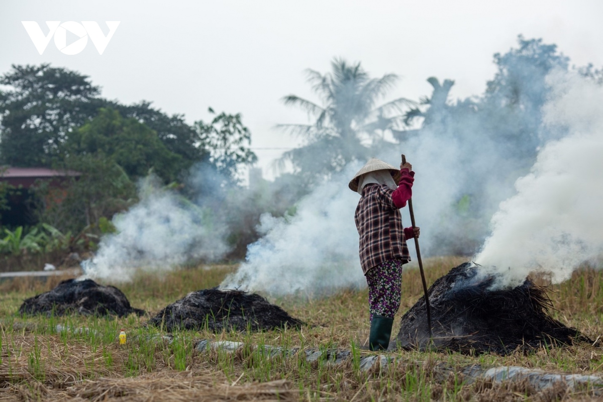 nong dan ngoai thanh ha noi dot rom ra, khoi mu mit bua vay nguoi di duong hinh anh 1