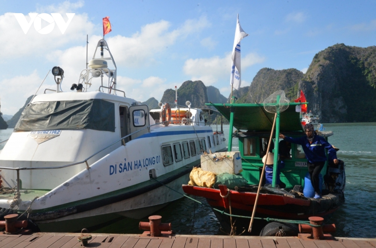 chung tay vi mot ha long khong rac thai nhua hinh anh 1