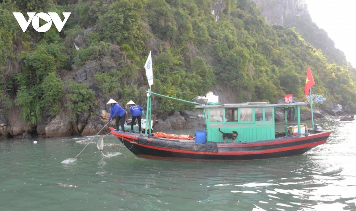 chung tay vi mot ha long khong rac thai nhua hinh anh 2