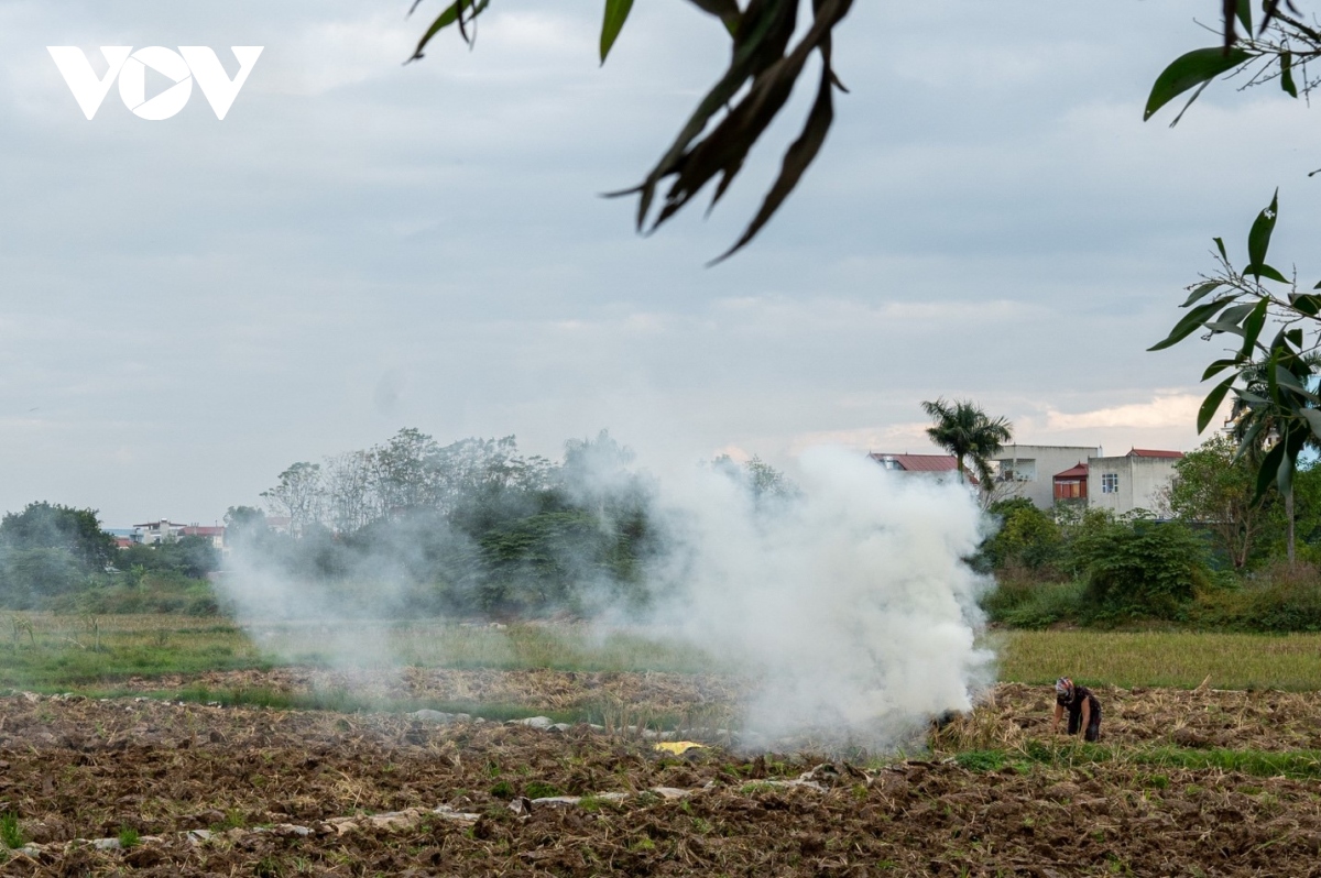 nong dan ngoai thanh ha noi dot rom ra, khoi mu mit bua vay nguoi di duong hinh anh 3