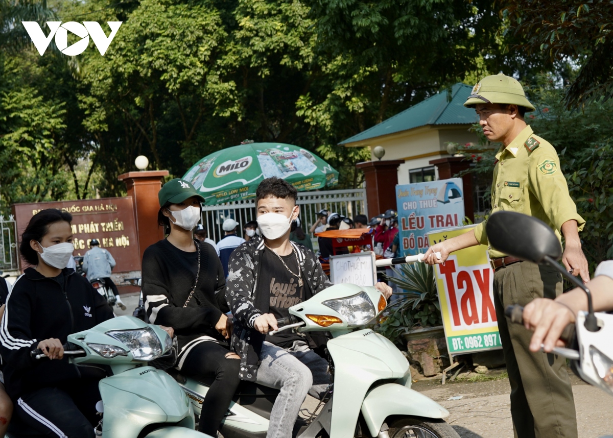 thiên đường hoa dã quỳ ba vì vỡ trận hình ảnh 5 thien duong hoa da quy ba vi vo tran hinh anh 5