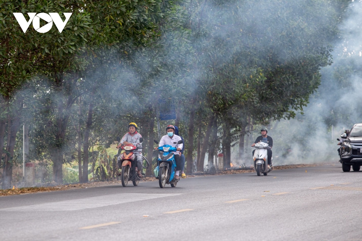 nong dan ngoai thanh ha noi dot rom ra, khoi mu mit bua vay nguoi di duong hinh anh 7