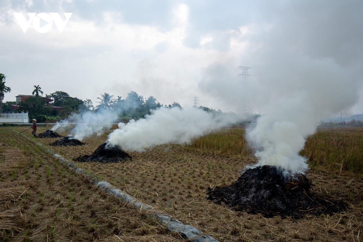 nong dan ngoai thanh ha noi dot rom ra, khoi mu mit bua vay nguoi di duong hinh anh 11