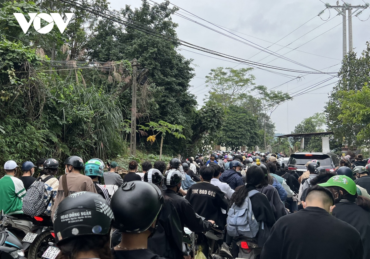thiên đường hoa dã quỳ ba vì vỡ trận hình ảnh 2 thien duong hoa da quy ba vi vo tran hinh anh 2