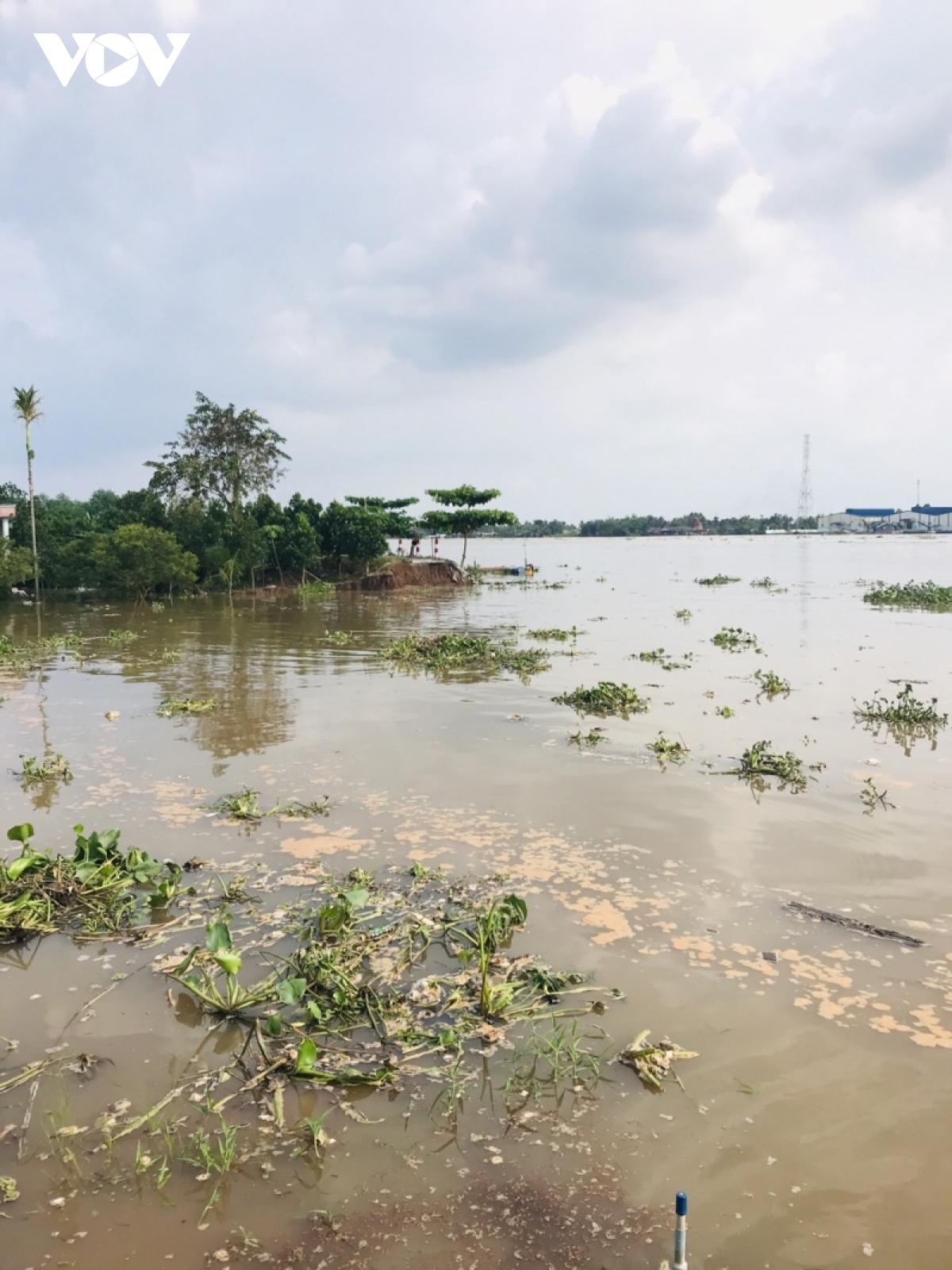 khan truong khac phuc sat lo ham ech tai con phu Da, ben tre hinh anh 1