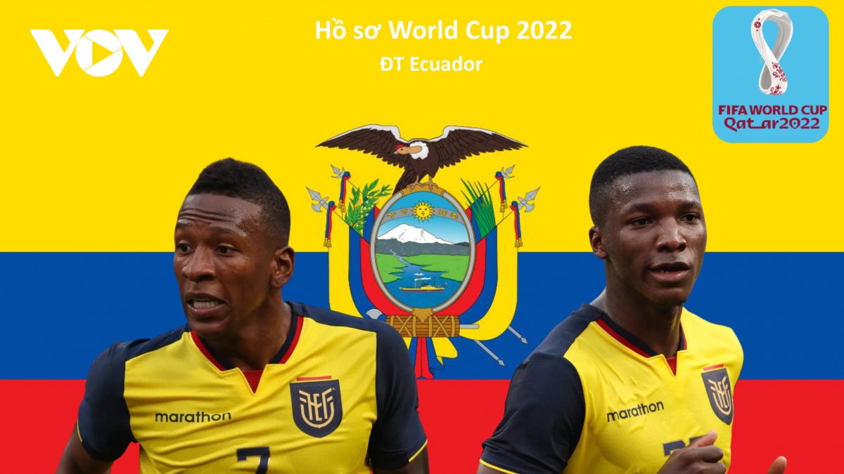 Hồ sơ các ĐT dự VCK World Cup 2022: Đội tuyển Ecuador