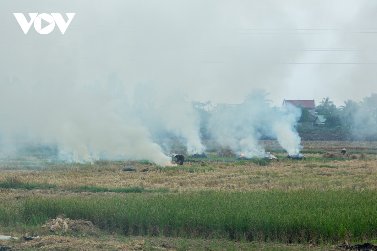 nong dan ngoai thanh ha noi dot rom ra, khoi mu mit bua vay nguoi di duong hinh anh 2