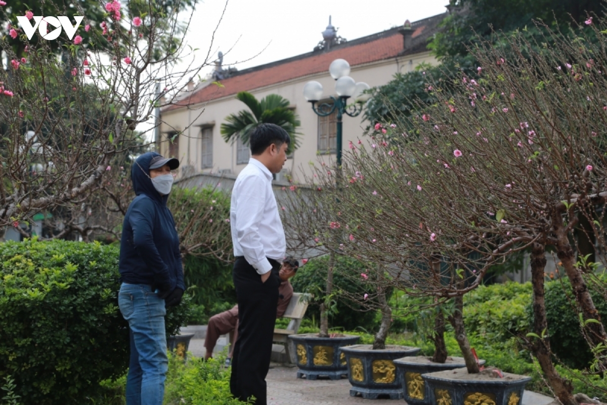 nha vuon dao, quat tu lien vao vu hinh anh 5