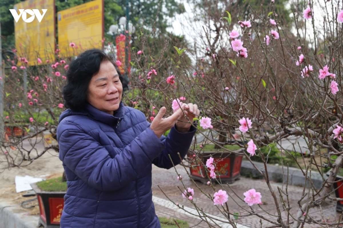 nha vuon dao, quat tu lien vao vu hinh anh 6