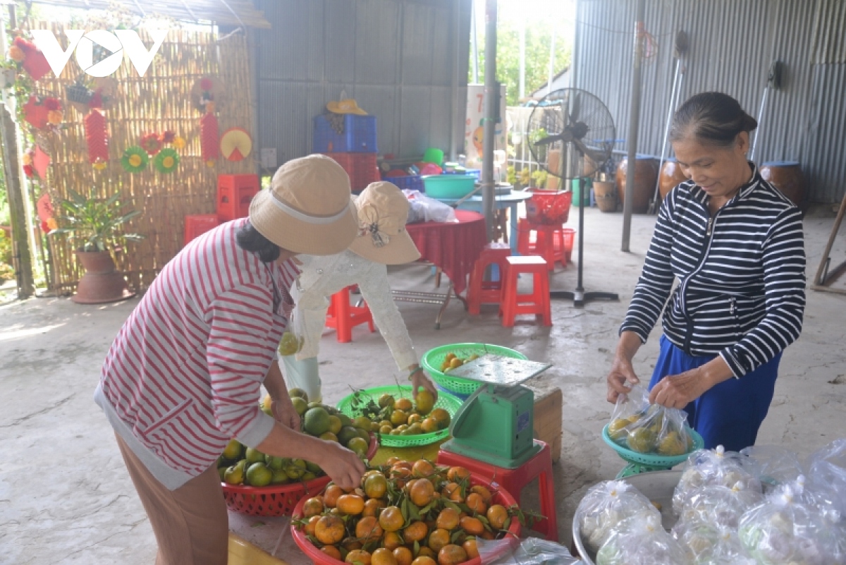  quyt hong lai vung Dong thap chin vang ruc cho du khach ghe tham hinh anh 8