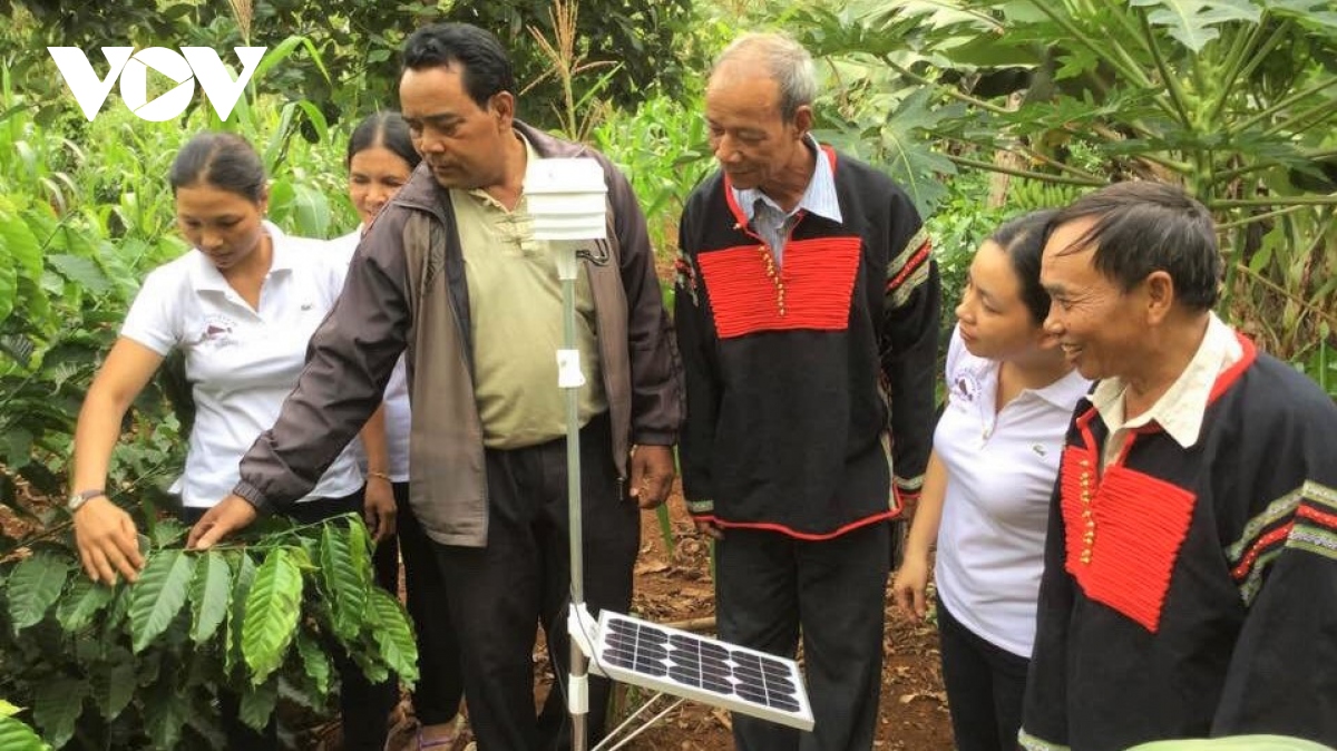 thay đổi tập quán sản xuất, người dân tộc thiểu số ở Đắk lắk có cuộc sống ấm no hình ảnh 1 thay doi tap quan san xuat, nguoi dan toc thieu so o Dak lak co cuoc song am no hinh anh 1